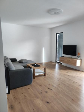 B&D apartment
